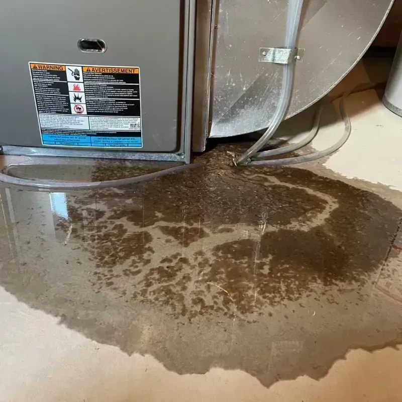 Appliance Leak Cleanup in Humansville, MO